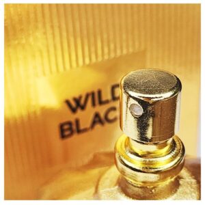 برفان رجالى100مل, WILD BLACK من Fragrances